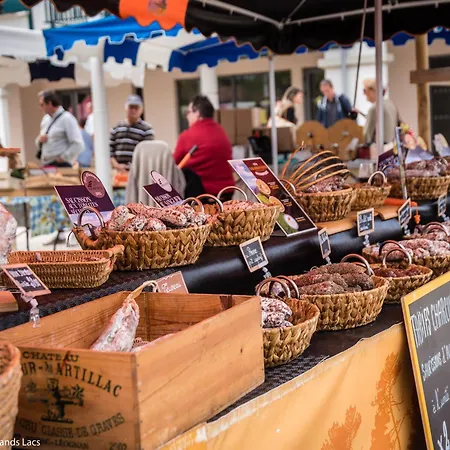 Prázdninový dům Maison Moderne Pres Du Avec Jardin Et Veranda A Sanguinet, Pour 10 Personnes - Fr-1-319-584