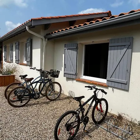 Dom wakacyjny Maison Moderne Pres Du Avec Jardin Et Veranda A Sanguinet, Pour 10 Personnes - Fr-1-319-584 *