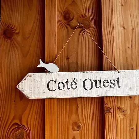 Maison Moderne Pres Du Avec Jardin Et Veranda A Sanguinet, Pour 10 Personnes - Fr-1-319-584 Dom wakacyjny Sanguinet