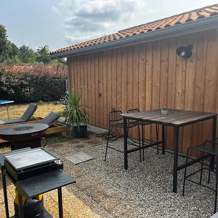 Maison Moderne Pres Du Avec Jardin Et Veranda A Sanguinet, Pour 10 Personnes - Fr-1-319-584 Holiday home