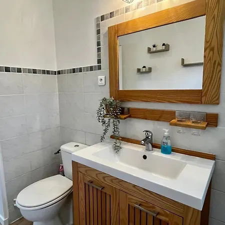 Maison Moderne Pres Du Avec Jardin Et Veranda A Sanguinet, Pour 10 Personnes - Fr-1-319-584 Sanguinet