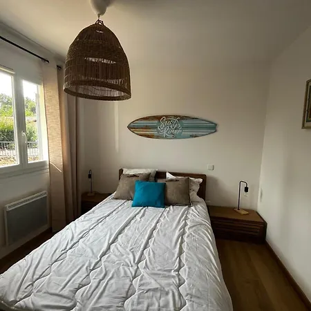 Maison Moderne Pres Du Avec Jardin Et Veranda A Sanguinet, Pour 10 Personnes - Fr-1-319-584 *