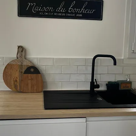 Maison Moderne Pres Du Avec Jardin Et Veranda A Sanguinet, Pour 10 Personnes - Fr-1-319-584 *